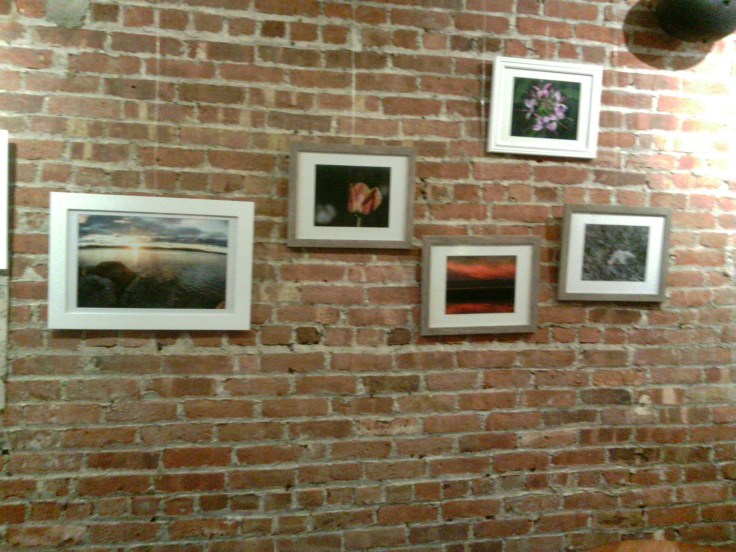 wp-1443807617326 image